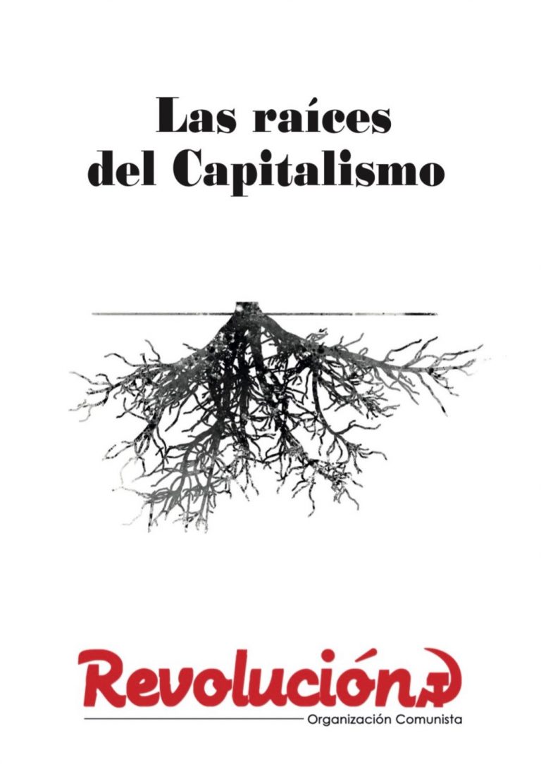 Libro: Las raíces del Capitalismo